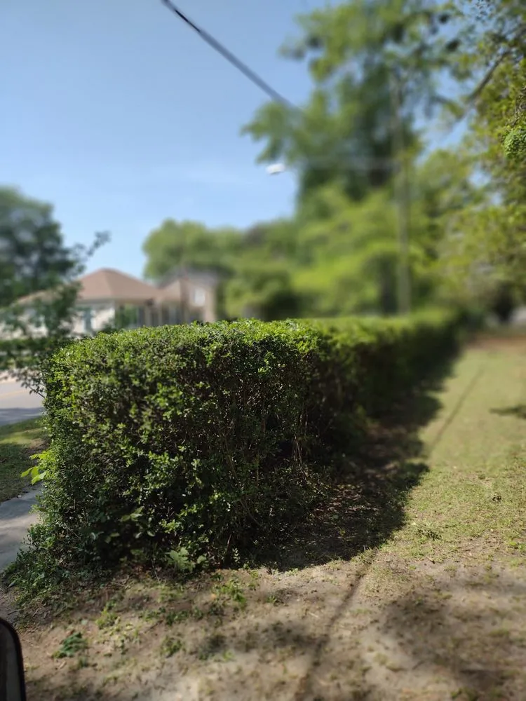 Trusted yard cleanup service experts serving Hartsville, SC - Matt’s Lawn care & Landscaping