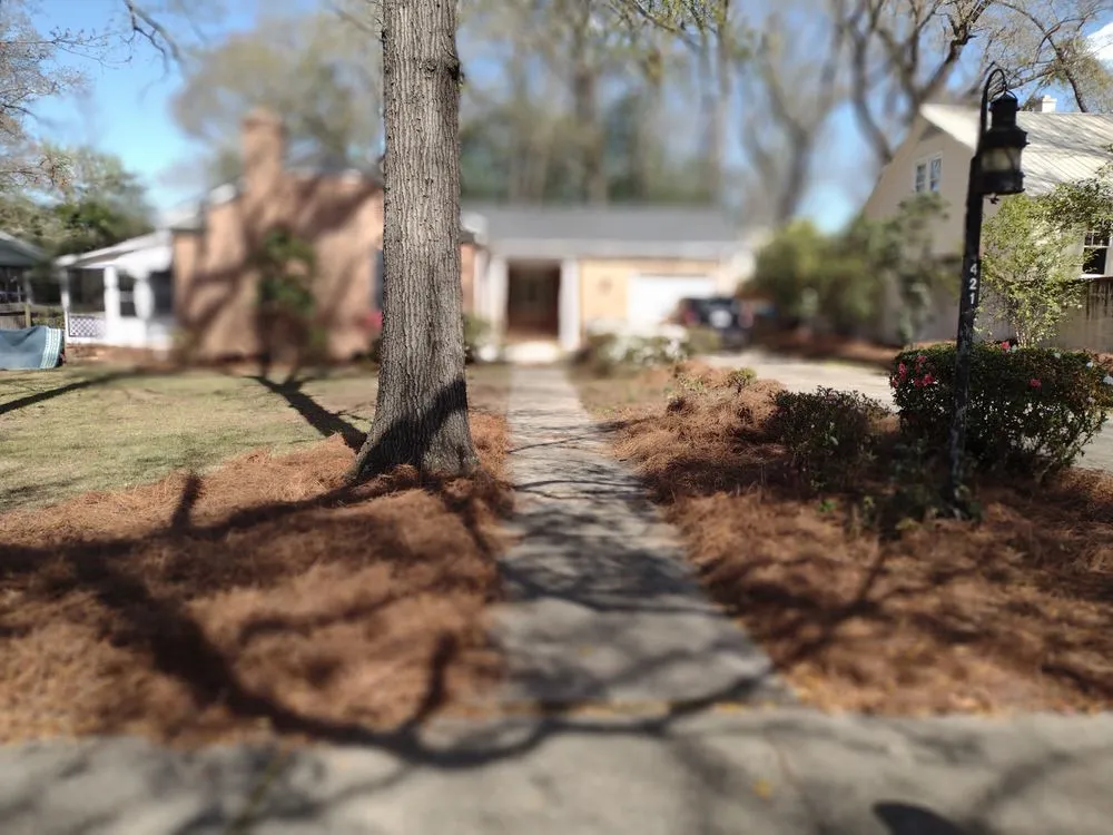 Affordable lawn care service for homes across Hartsville, SC - Matt’s Lawn care & Landscaping