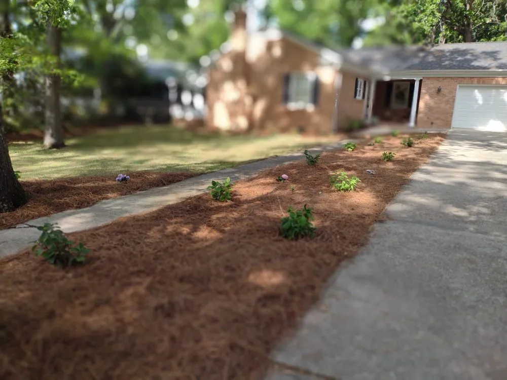 Professional garden landscaping for homes in Hartsville, SC by Matt’s Lawn care & Landscaping