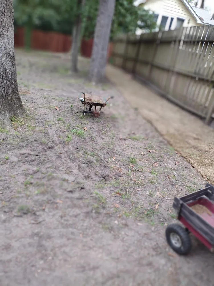 Professional landscaping services in Hartsville, SC - Matt’s Lawn care & Landscaping