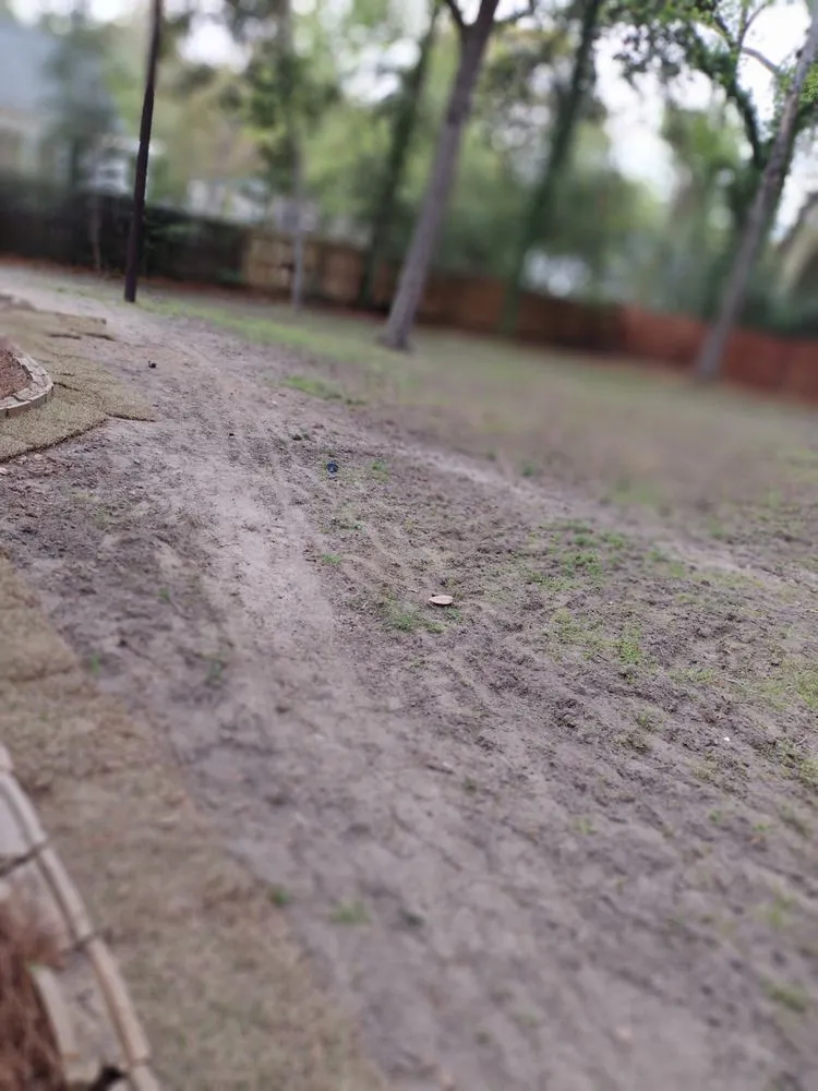 Affordable lawn mowing service in Hartsville, SC - Matt’s Lawn care & Landscaping