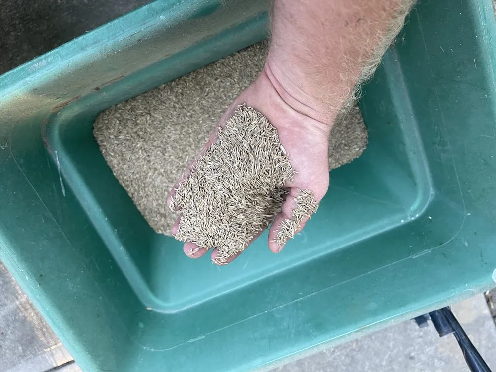 Professional garden landscaping for beautiful yards in West Milton, OH by Matt’s Lawn Care & Services