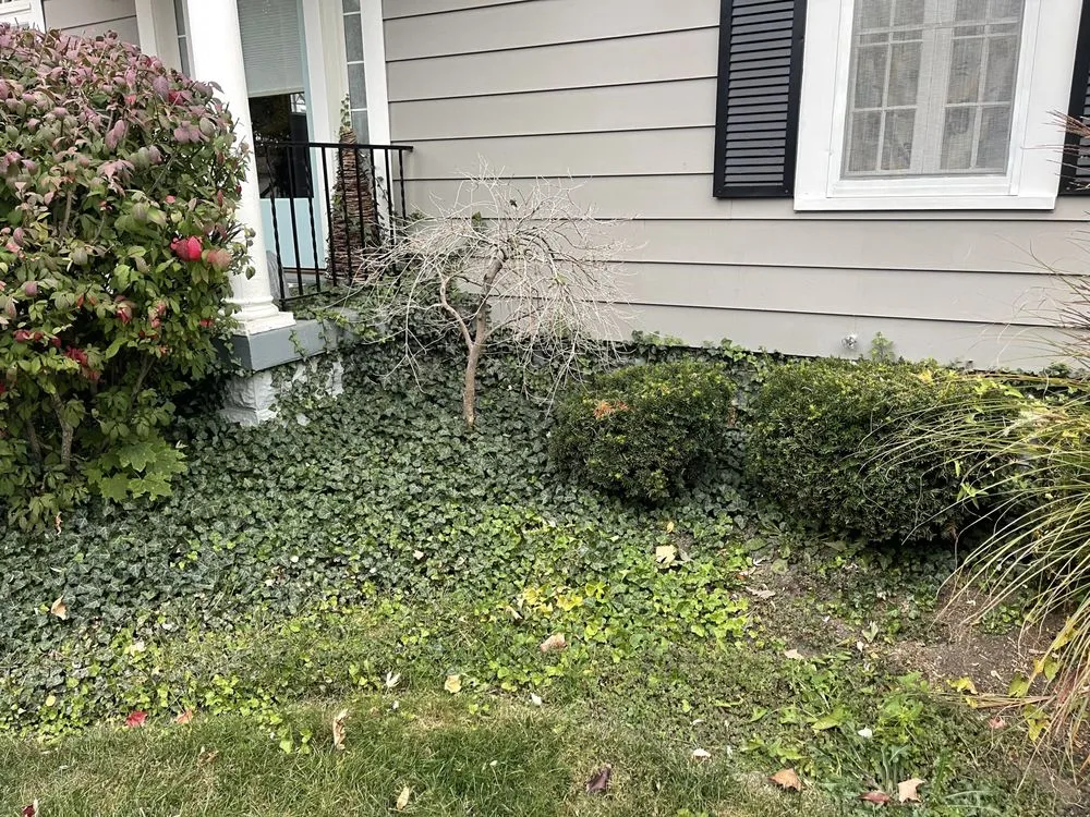 Expert outdoor landscaping for outdoor upgrades across West Milton, OH - Matt’s Lawn Care & Services