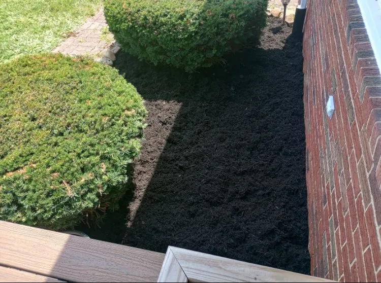 Local landscape installation in Coraopolis, PA - Matt’s Lawn Care