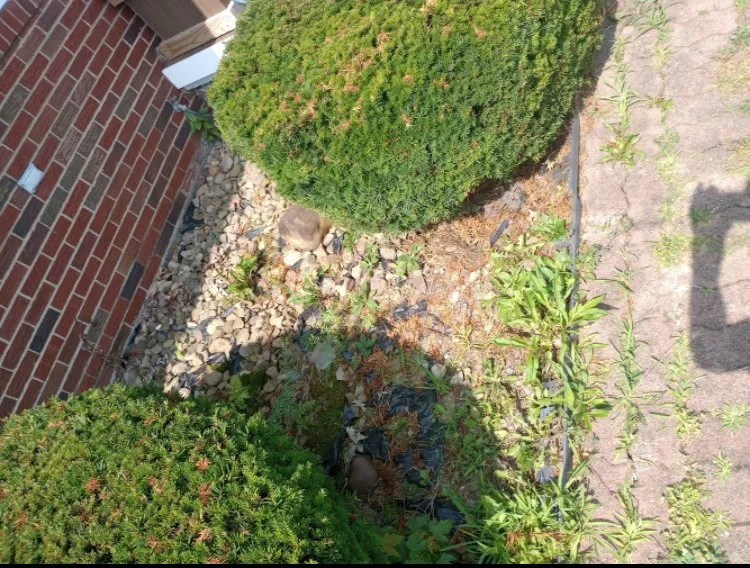 Reliable yard cleanup service for residential properties in Coraopolis, PA by Matt’s Lawn Care