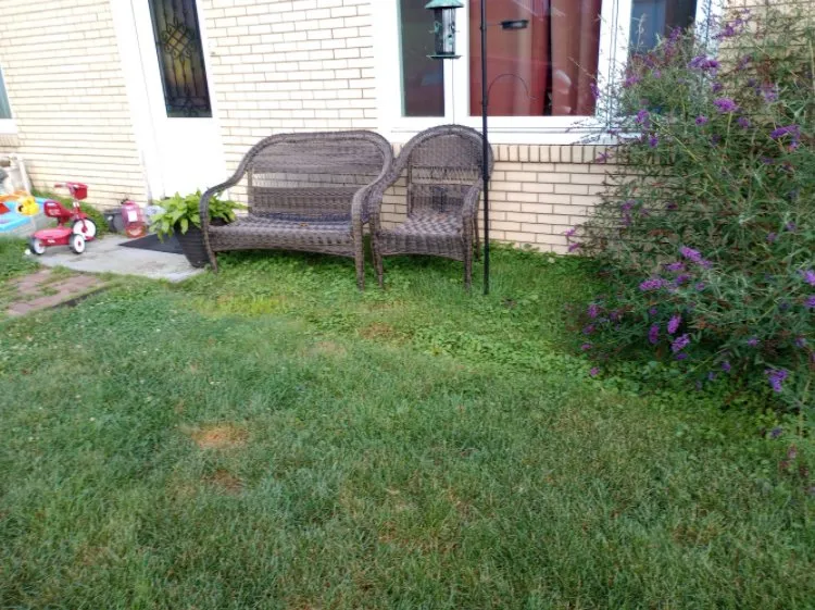 Reliable outdoor landscaping experts serving Coraopolis, PA - Matt’s Lawn Care