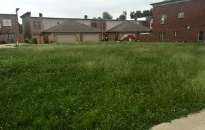 Professional lawn mowing service for year-round maintenance in Evansville, IN by Matt's Lawn Care