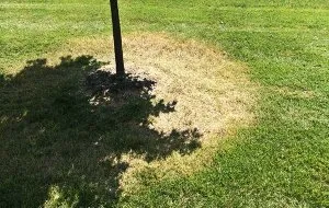 Custom landscape design in Evansville, IN by Matt's Lawn Care