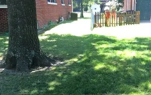 Affordable landscape design in Evansville, IN - Matt's Lawn Care