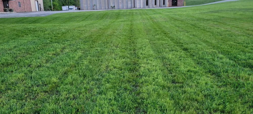 Trusted landscaping services experts serving Omaha, NE - Matt's Lawn Care