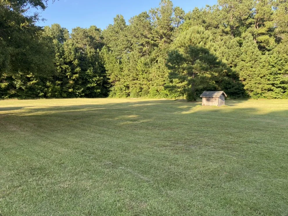 Expert lawn mowing service in Whiteville, NC - Matt’s Lawn Care