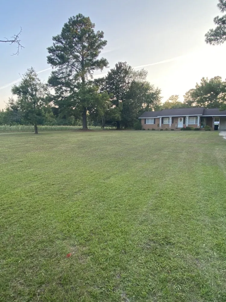 Professional landscape design in Whiteville, NC - Matt’s Lawn Care