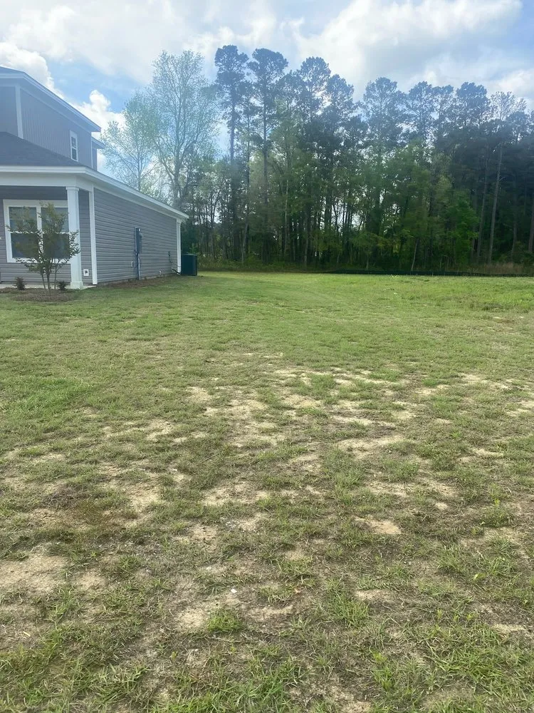 Expert yard cleanup service for beautiful yards across Whiteville, NC - Matt’s Lawn Care