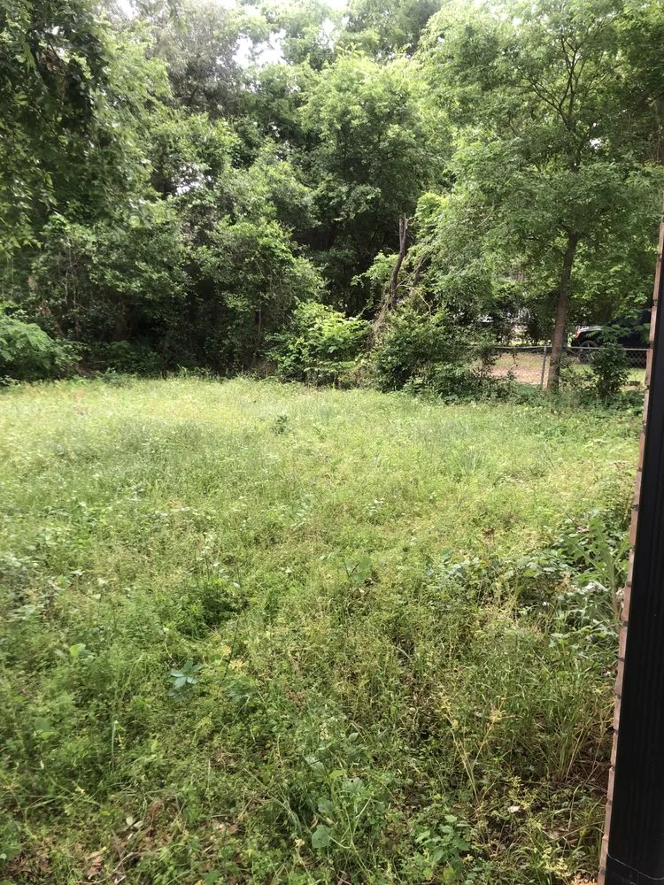 Local yard cleanup service experts serving Tyler, TX - Matt’s lawn service