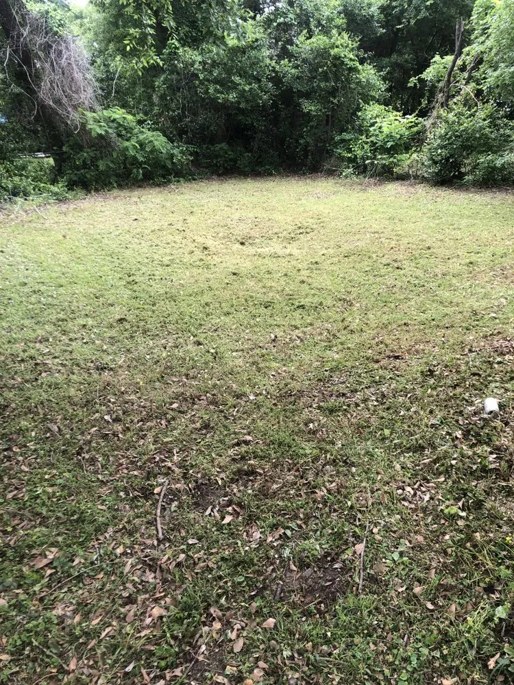 Professional landscaping services for residential properties across Tyler, TX - Matt’s lawn service