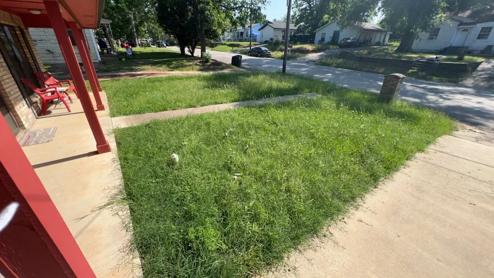 Local landscaping services experts serving Tyler, TX - Matt’s lawn service