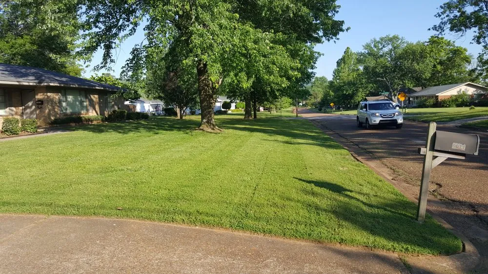 Affordable lawn mowing service experts serving Toney, AL - Matts Lawncare