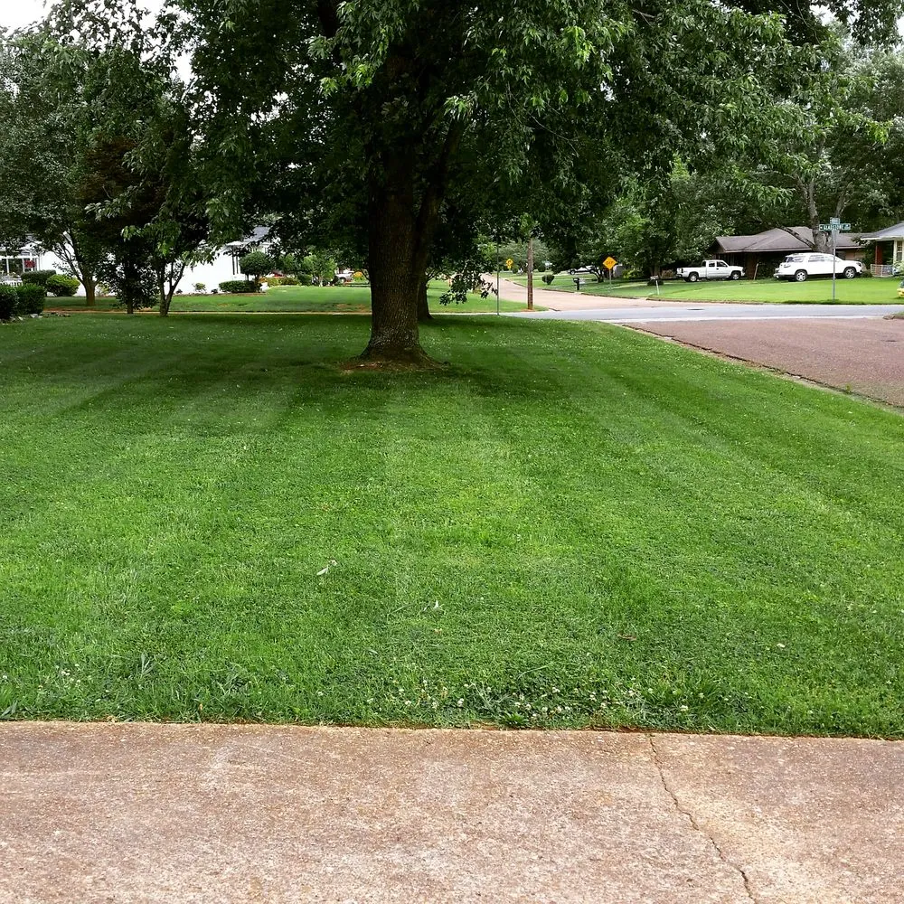 Local lawn mowing service in Toney, AL by Matts Lawncare