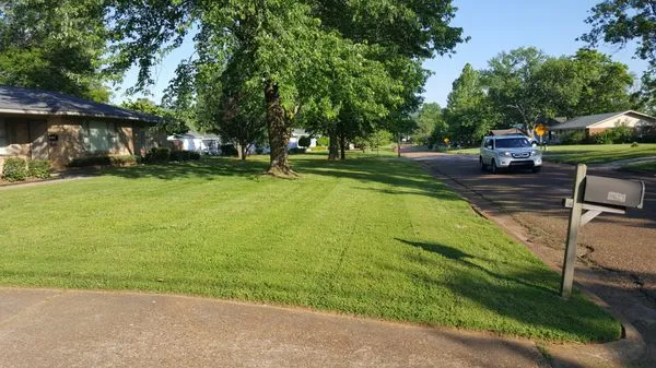 Matts Lawncare Logo