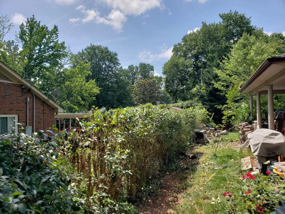 Trusted lawn care service for homes across Charlotte, NC - Matt's Lawns