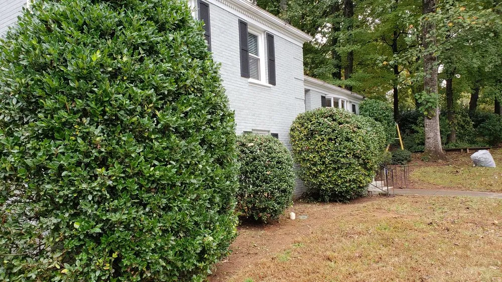 Local landscape design for outdoor upgrades in Charlotte, NC by Matt's Lawns