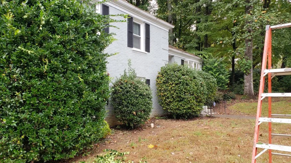 Expert lawn care service for homes in Charlotte, NC by Matt's Lawns