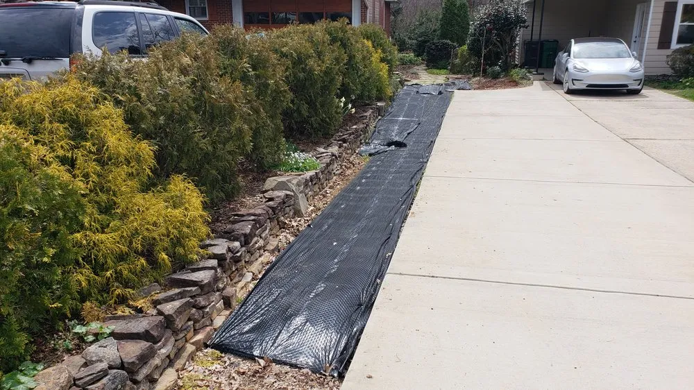 Expert landscaping services in Charlotte, NC - Matt's Lawns