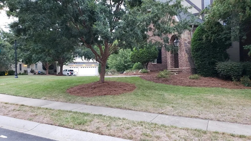 Custom lawn care service near you across Charlotte, NC - Matt's Lawns