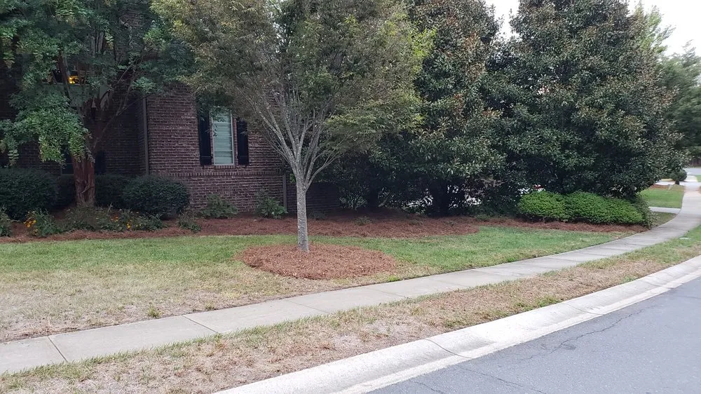 Affordable lawn care service near you across Charlotte, NC - Matt's Lawns