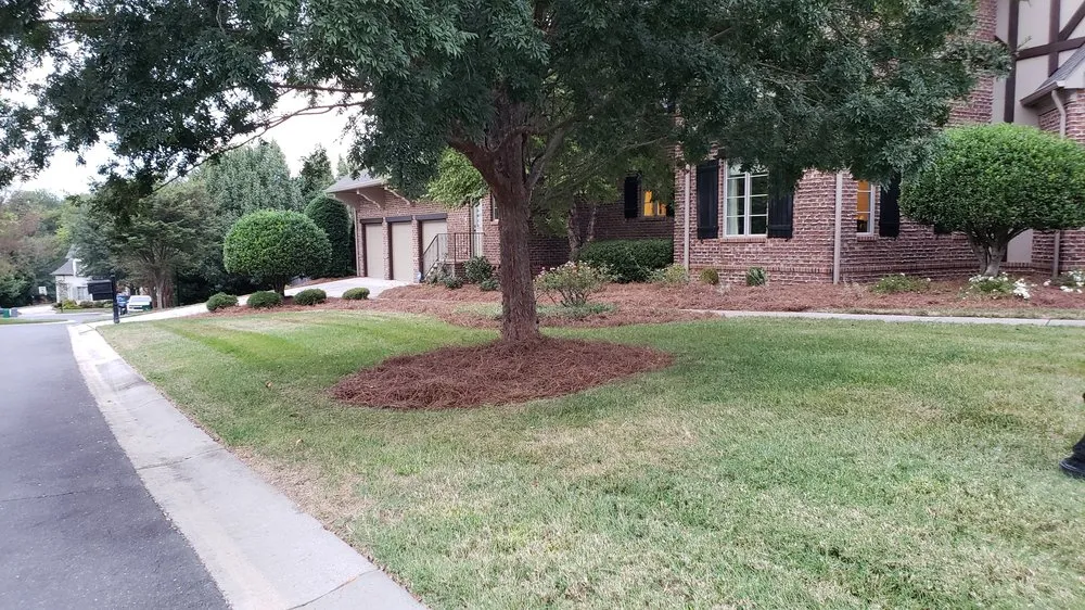 Professional landscape design in Charlotte, NC - Matt's Lawns