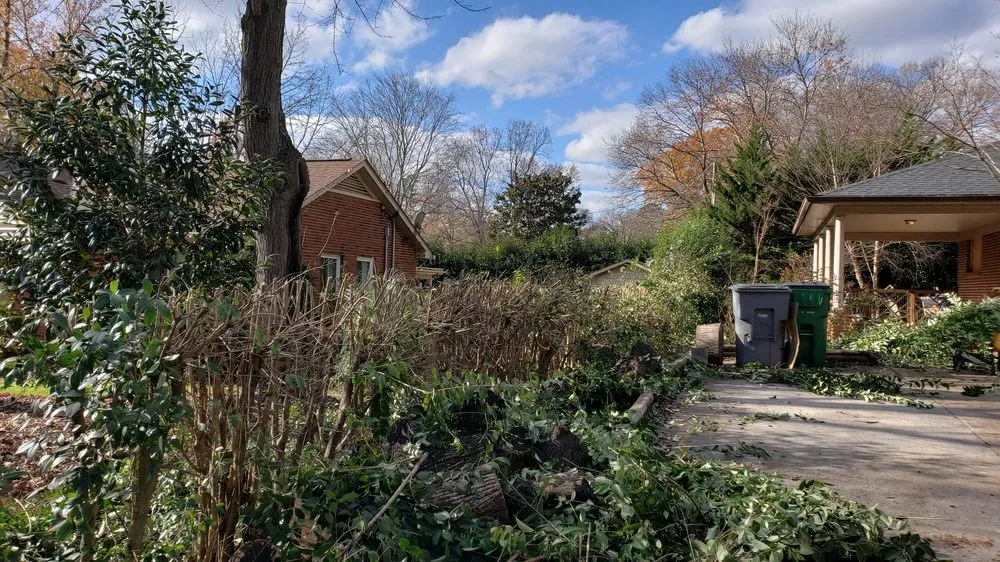 Local garden landscaping in Charlotte, NC - Matt's Lawns