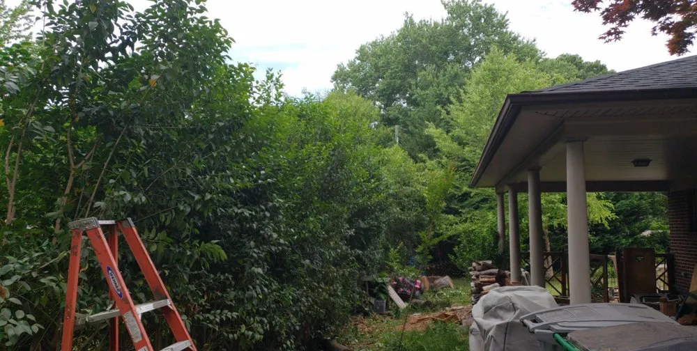 Trusted landscape design with custom design across Charlotte, NC - Matt's Lawns