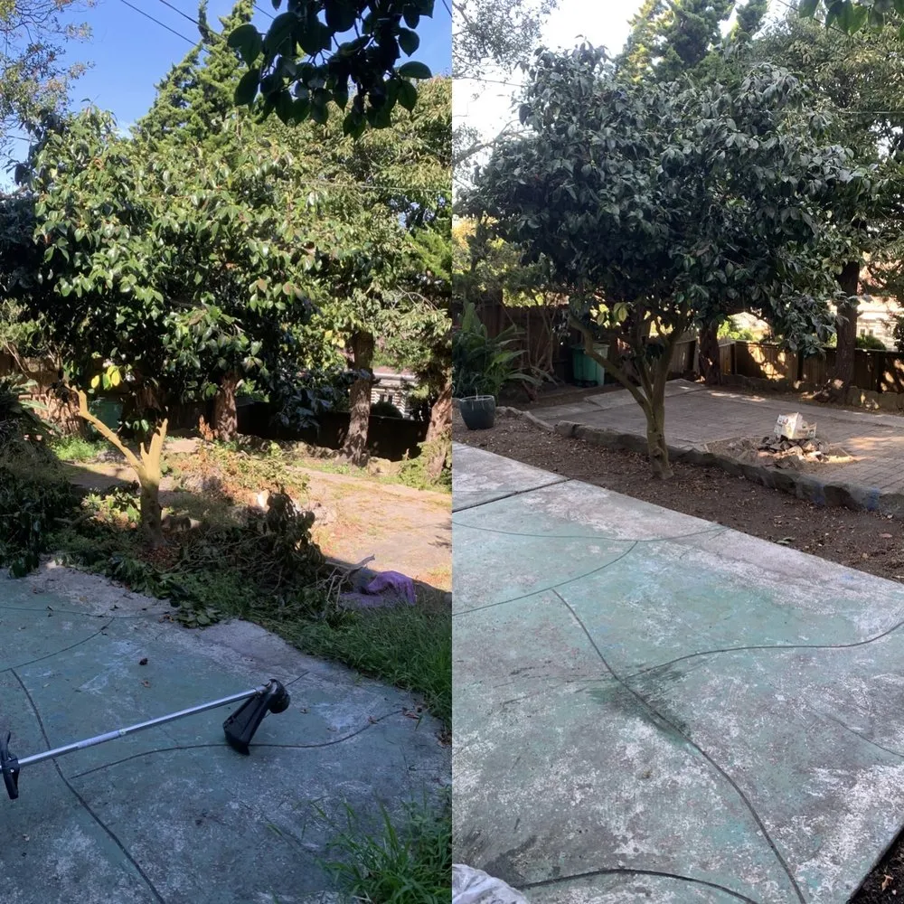 Professional yard maintenance for year-round maintenance across Oakland, CA - Matt’s Mowing & Landscaping