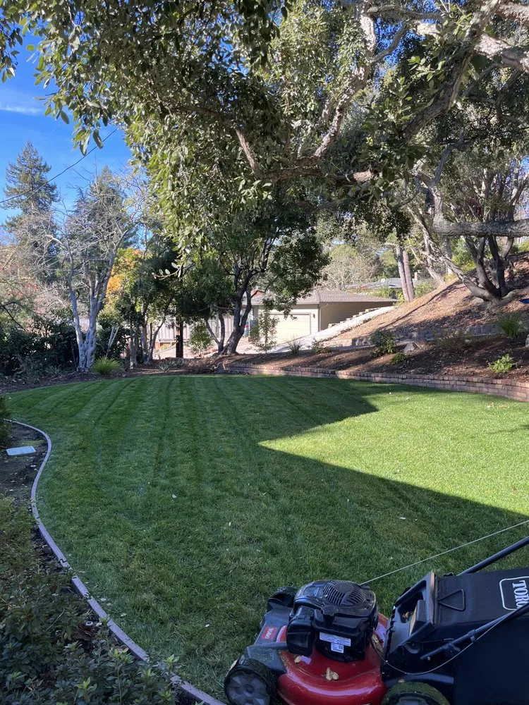 Trusted lawn mowing service experts serving Oakland, CA - Matt’s Mowing & Landscaping