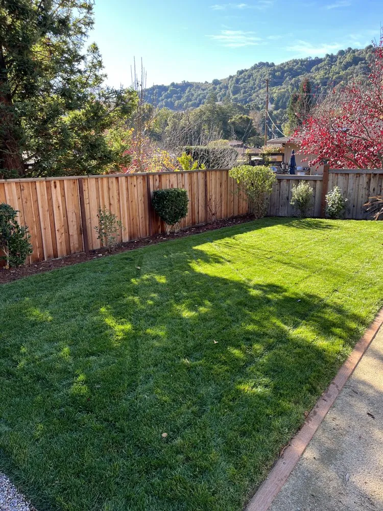 Affordable residential landscaping experts serving Oakland, CA - Matt’s Mowing & Landscaping