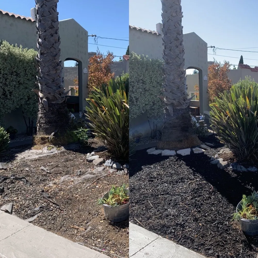 Trusted yard maintenance in Oakland, CA - Matt’s Mowing & Landscaping