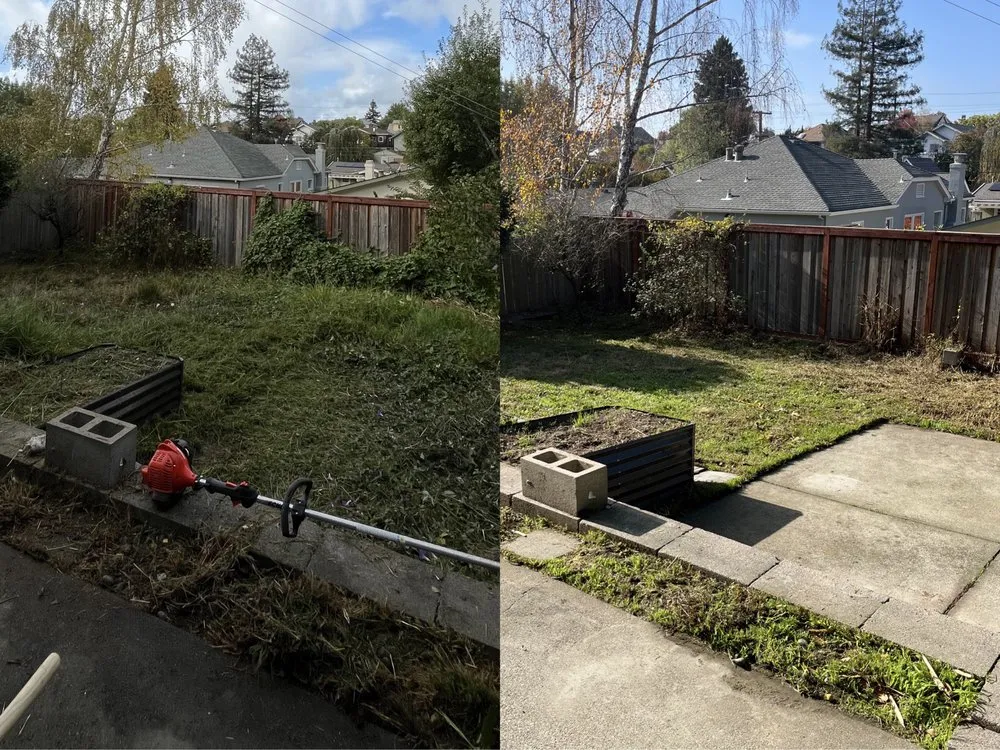 Affordable yard cleanup service experts serving Oakland, CA - Matt’s Mowing & Landscaping