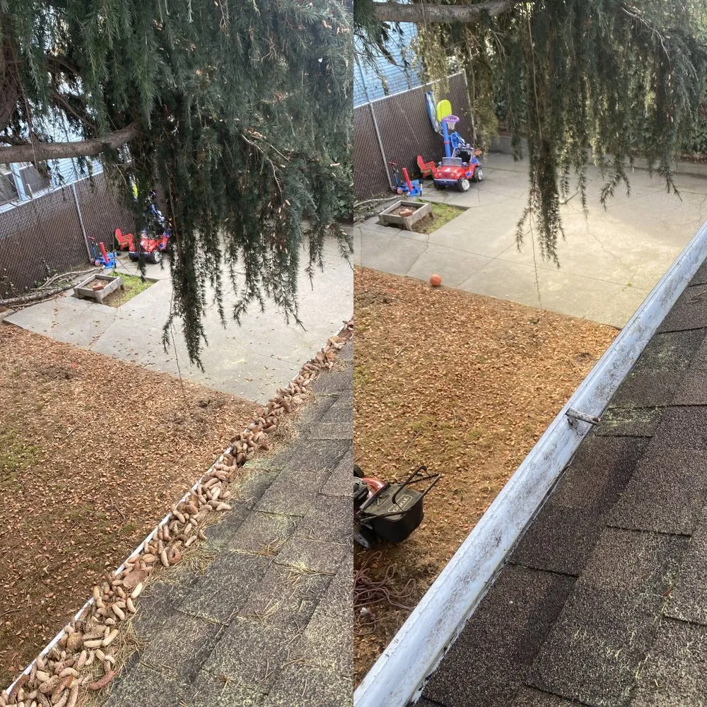 Professional yard cleanup service experts serving Oakland, CA - Matt’s Mowing & Landscaping