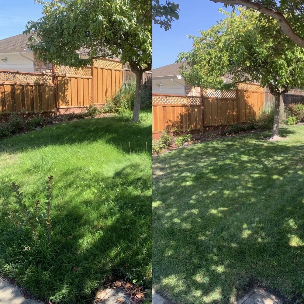 Custom yard maintenance in Oakland, CA by Matt’s Mowing & Landscaping