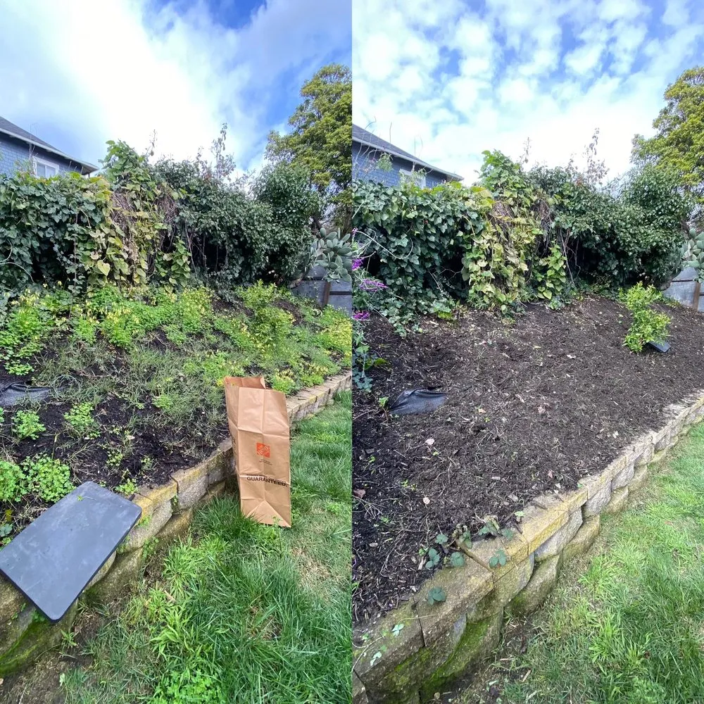 Affordable residential landscaping for residential properties in Oakland, CA by Matt’s Mowing & Landscaping