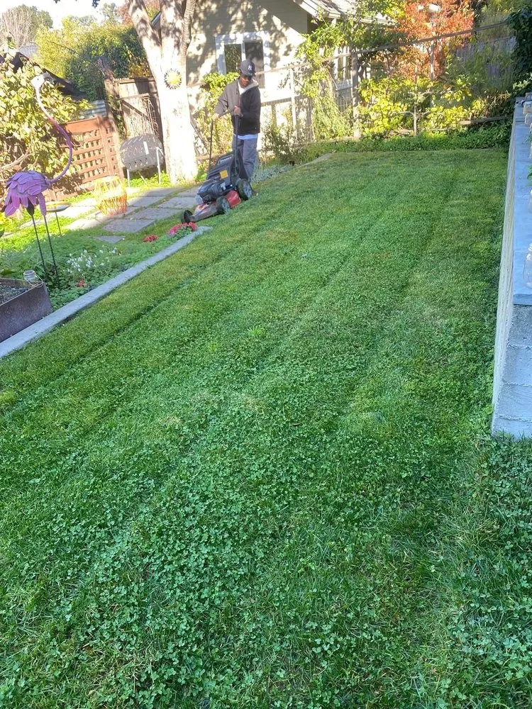 Professional lawn mowing service in Oakland, CA - Matt’s Mowing & Landscaping