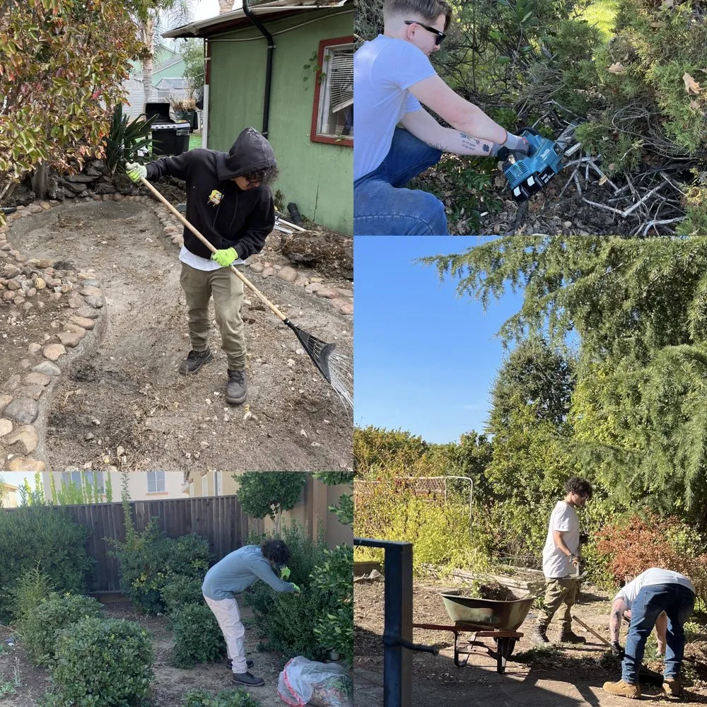 Top-rated yard maintenance for homes across Oakland, CA - Matt’s Mowing & Landscaping