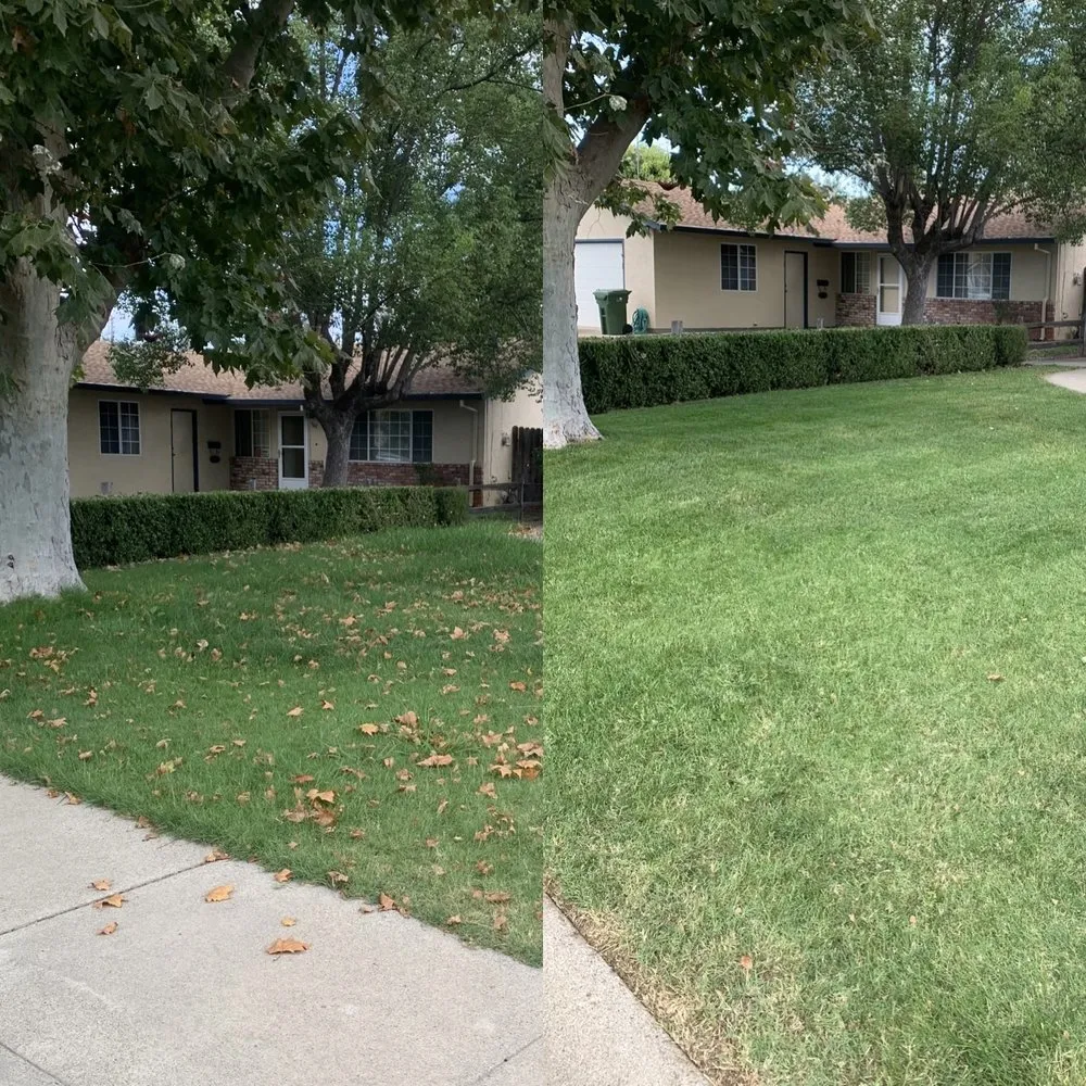 Expert landscape installation in Oakland, CA - Matt’s Mowing & Landscaping