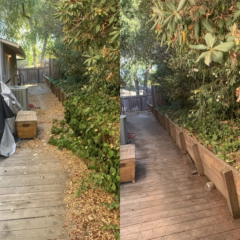 Trusted landscape design experts serving Oakland, CA - Matt’s Mowing & Landscaping