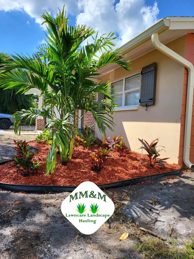 Trusted yard cleanup service experts serving Seminole, FL - Matt's Mowing and More