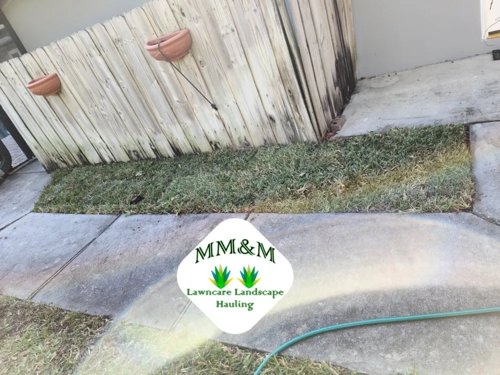 Professional yard cleanup service experts serving Seminole, FL - Matt's Mowing and More