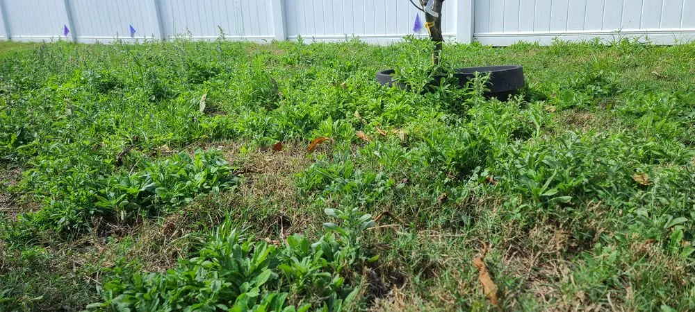 Custom outdoor landscaping in Seminole, FL - Matt's Mowing and More