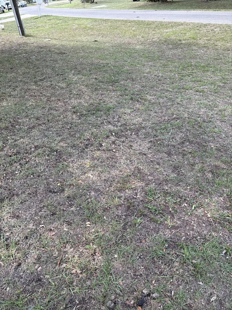 Top-rated lawn mowing service for outdoor upgrades across Ocala, FL - Matts Mowing