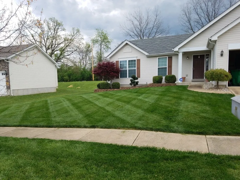 Expert lawn care service in Villa Ridge, MO by Matt's Outdoor Contracting