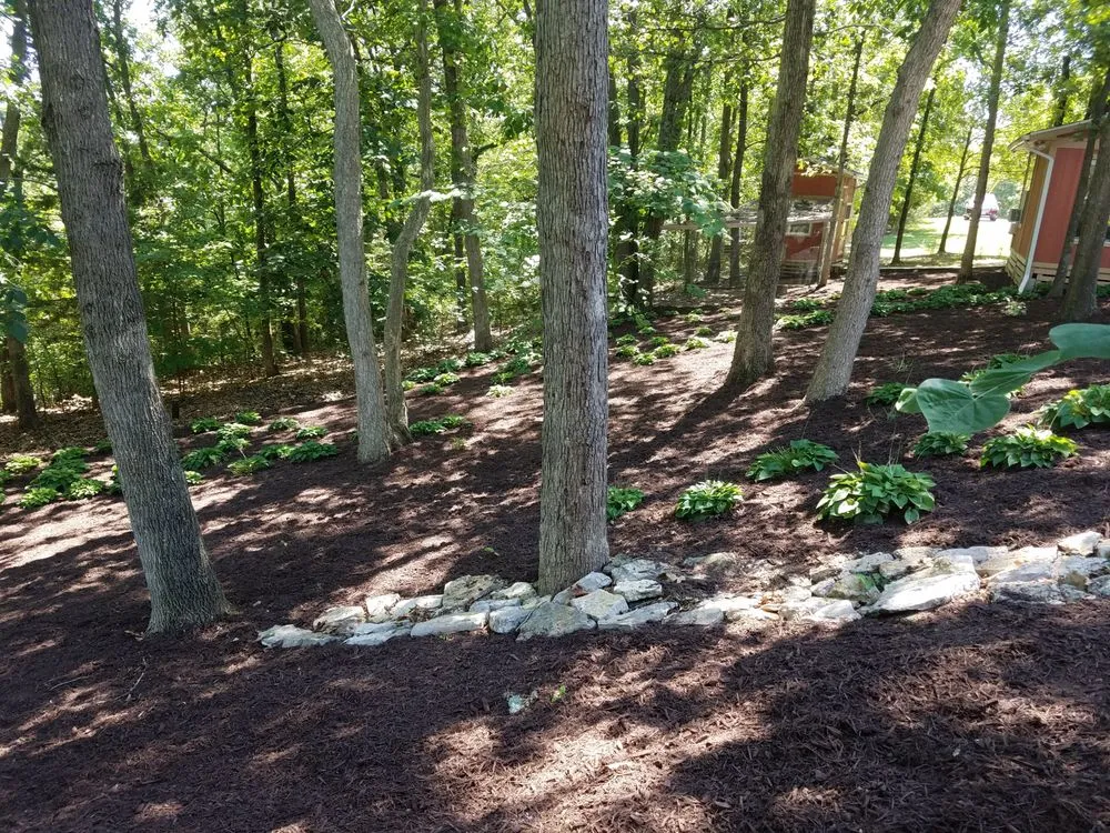 Reliable lawn mowing service in Villa Ridge, MO - Matt's Outdoor Contracting